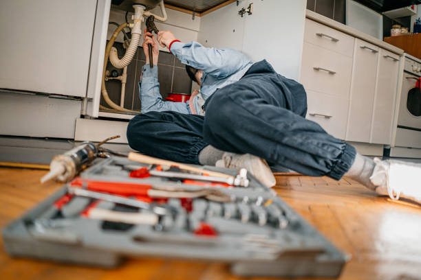 Best Plumbing Inspection Services  in Gaylord, MI