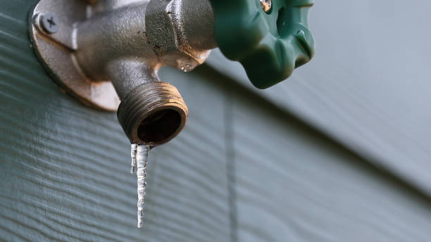 Best Leak Detection Services  in Gaylord, MI